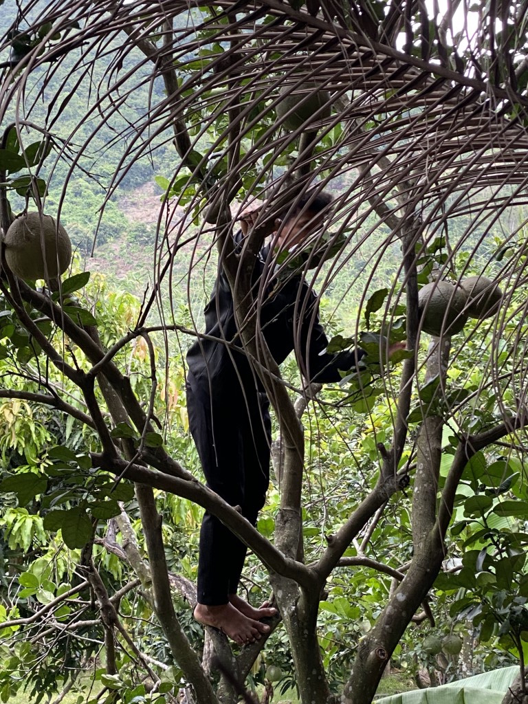 23-03182026-Suoi-Cat-Charity-Home