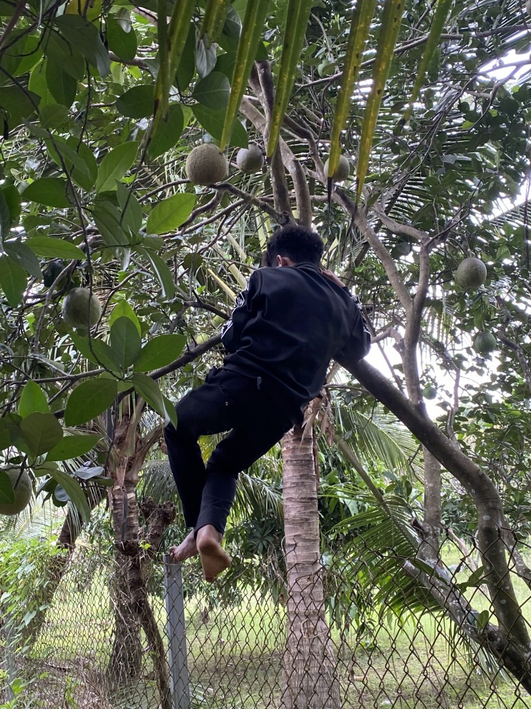 26-03182026-Suoi-Cat-Charity-Home